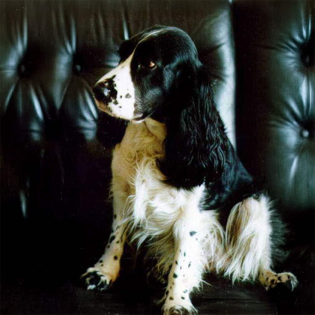 Lucy
